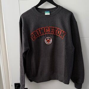 Champion X Princeton University Sweater